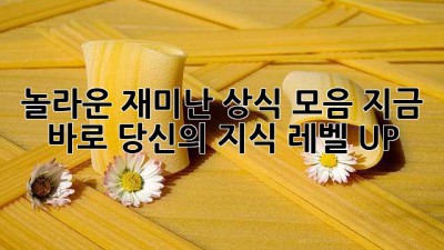 놀라운 재미난 상식 모음! 지금 바로 당신의 지식 레벨 UP! 🚀
