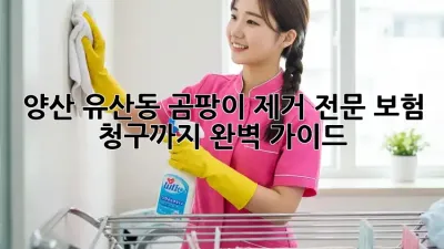 양산 유산동 곰팡이 제거 전문: 보험 청구까지 완벽 가이드